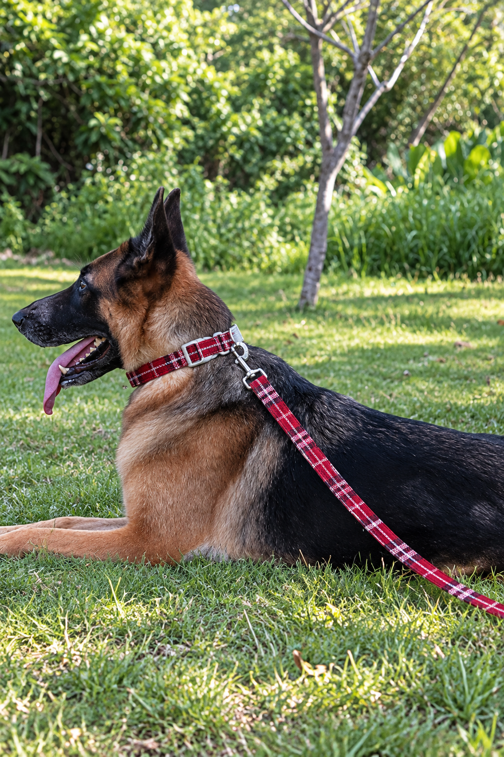 Linen dog lead – view 4