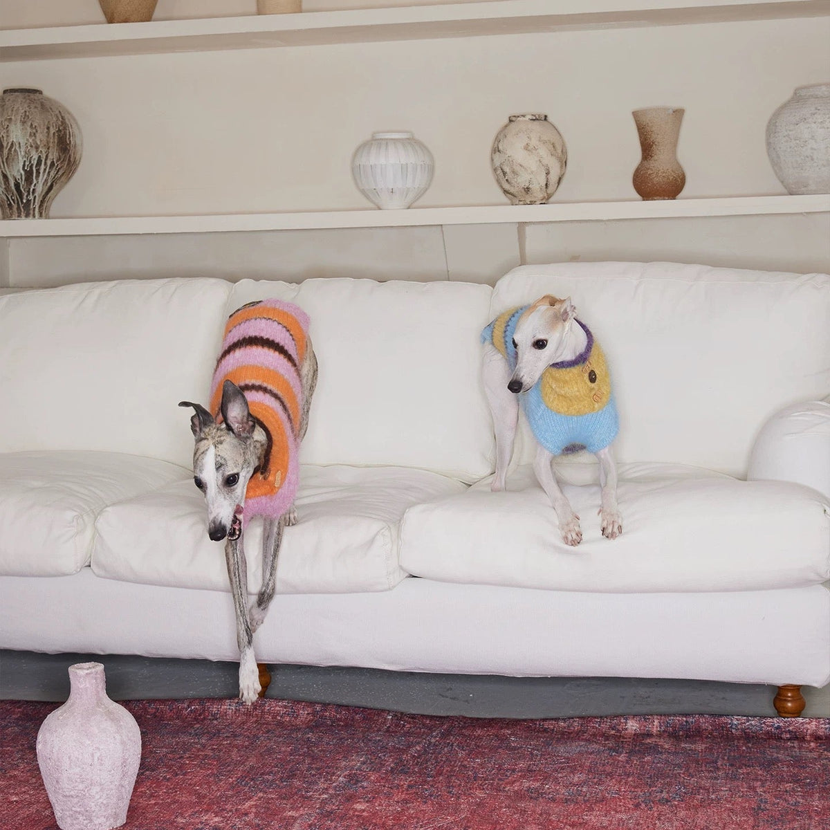 Christmas is a Rainbow Sweater jumper for dogs