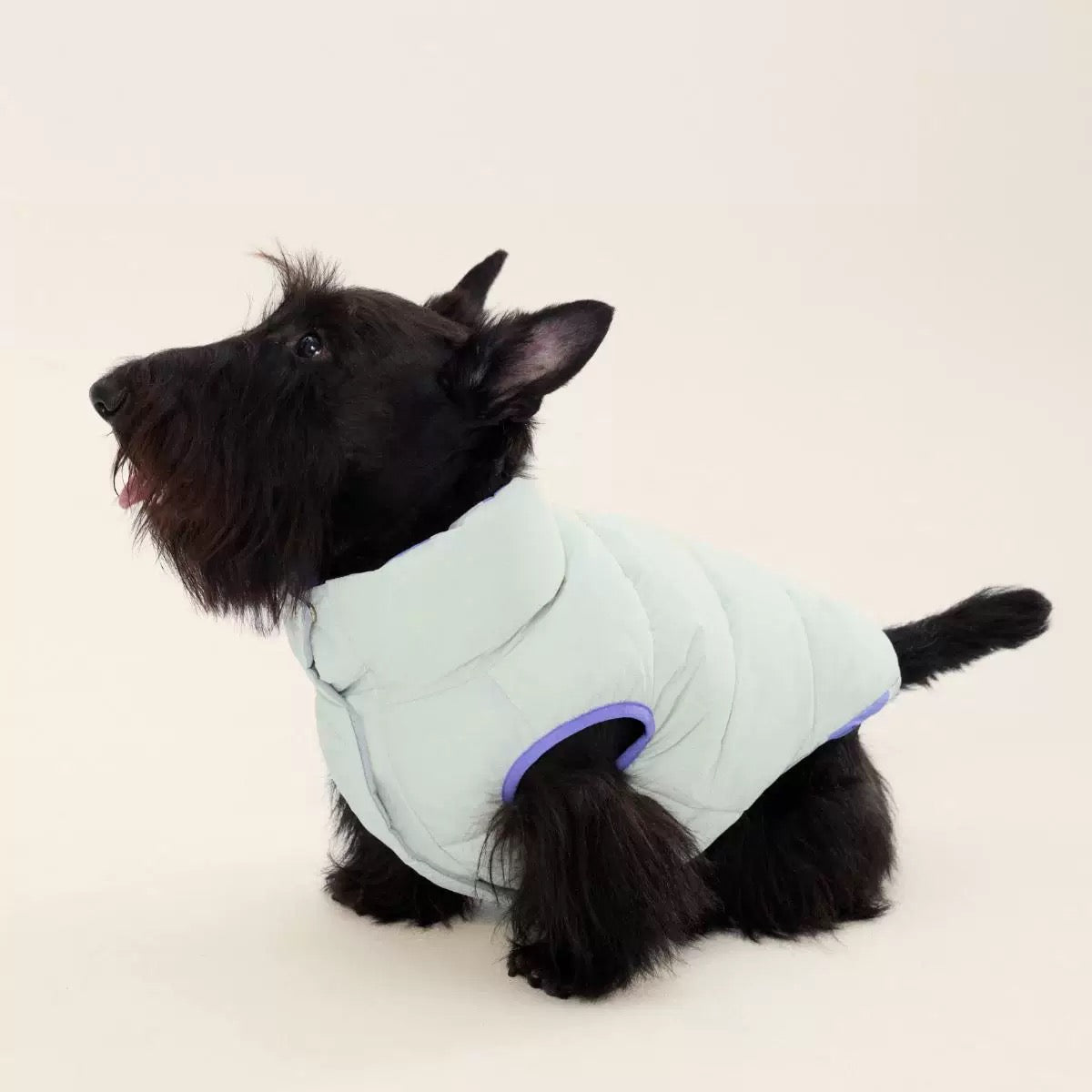 Contrasting Stripe Reversible Cotton Vest gilet for dogs