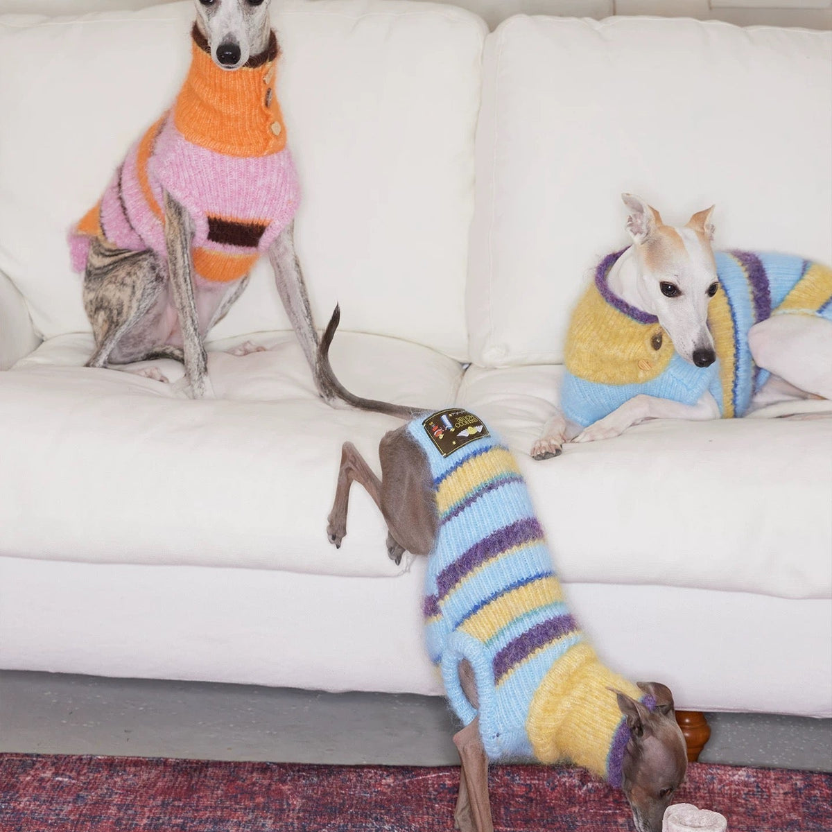 Christmas is a Rainbow Sweater jumper for dogs