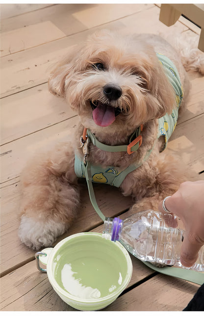 Folding travel dog bowl – view 5