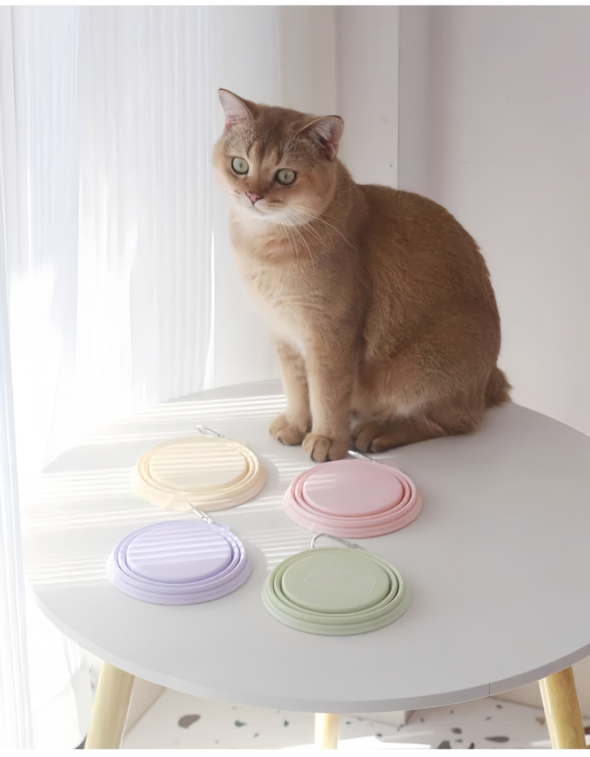 Folding travel dog bowl – view 4