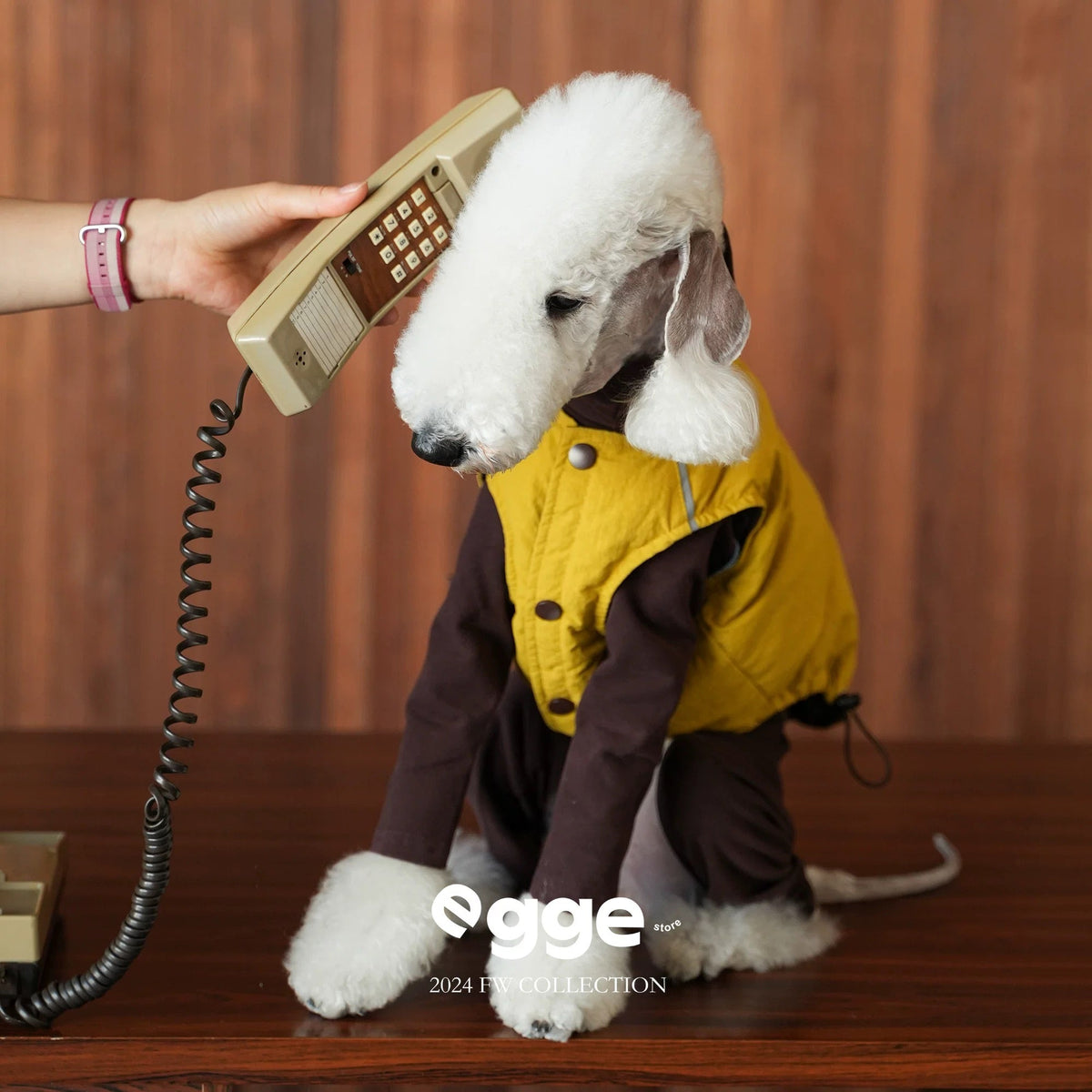PupWarm Reversible Down Coat in yellow — coat for dogs