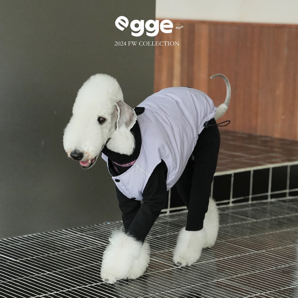 PupWarm Reversible Down Coat coat for dogs