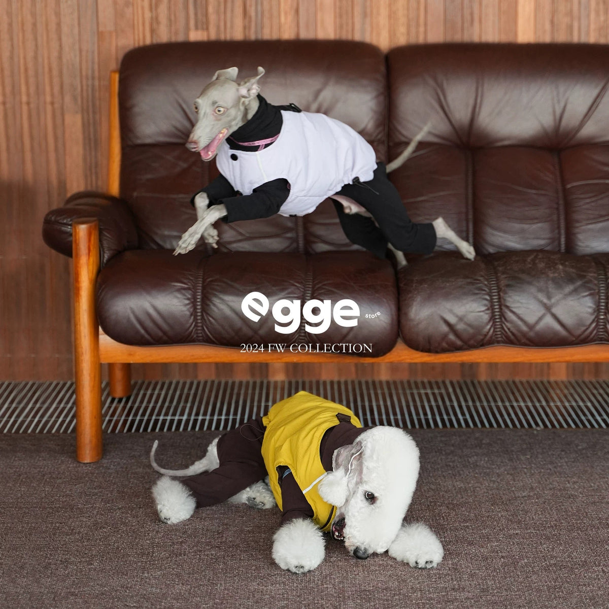 PupWarm Reversible Down Coat coat for dogs