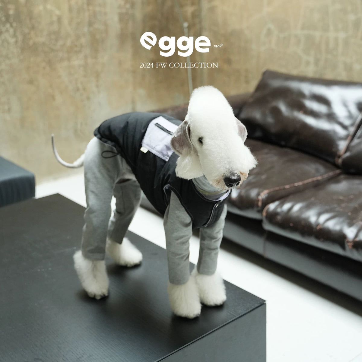 PupWarm Reversible Down Coat coat for dogs