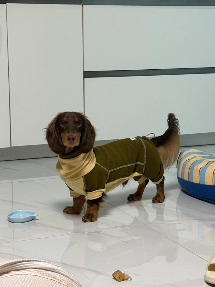 Ginger Chestnut Four-Leg Dog Hoodie – Brown and Cream