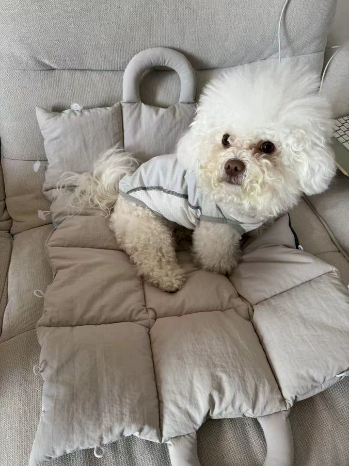 Quilted Dog Travel Mat & 2-in-1 Carry Bag