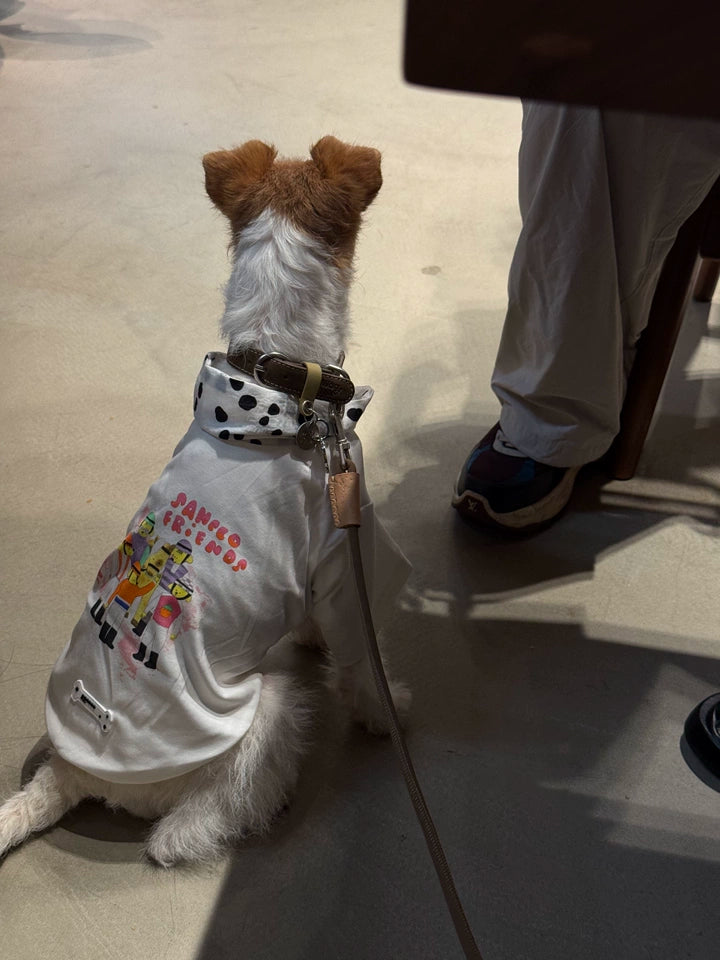 Doodle Print Dog T-Shirt – Blue, Pink or White