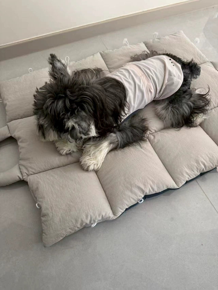 Quilted Dog Travel Mat & 2-in-1 Carry Bag