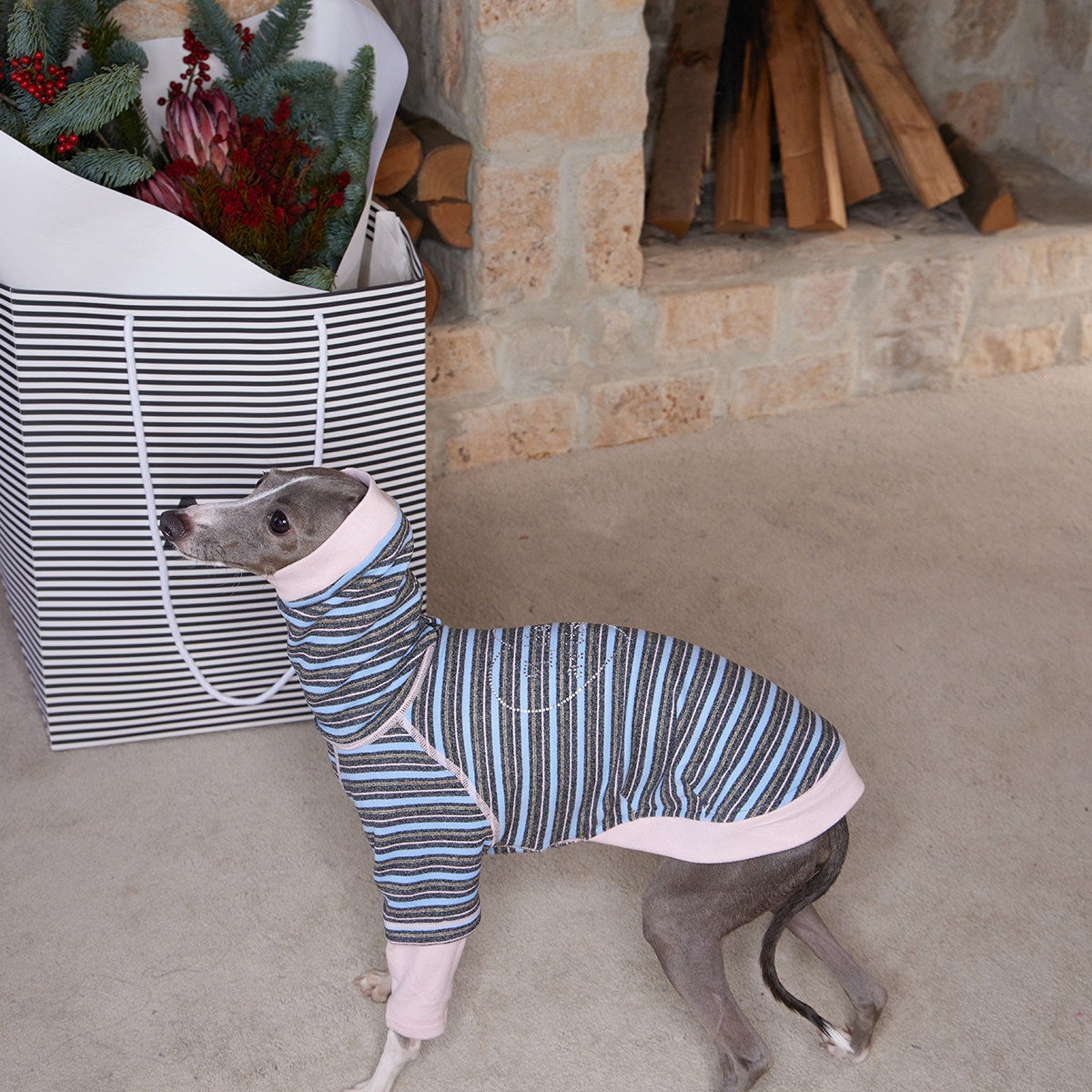 SnugLines Fleece Hoodie for Dogs