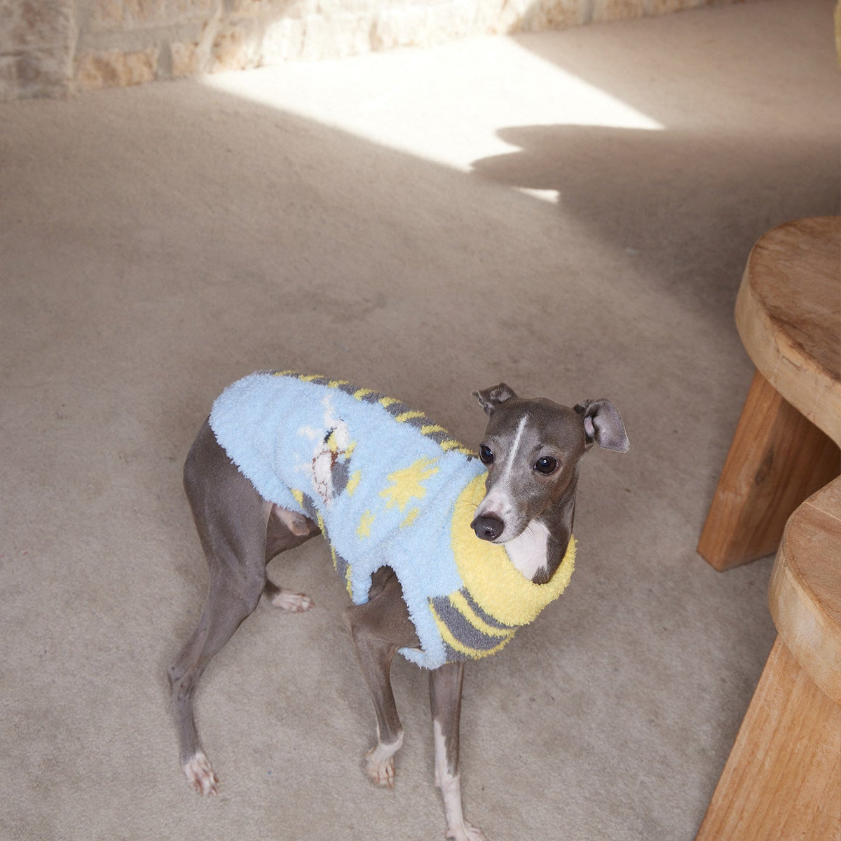 SnuggleStripe Cosy Half-Wrap Sweater for Dogs