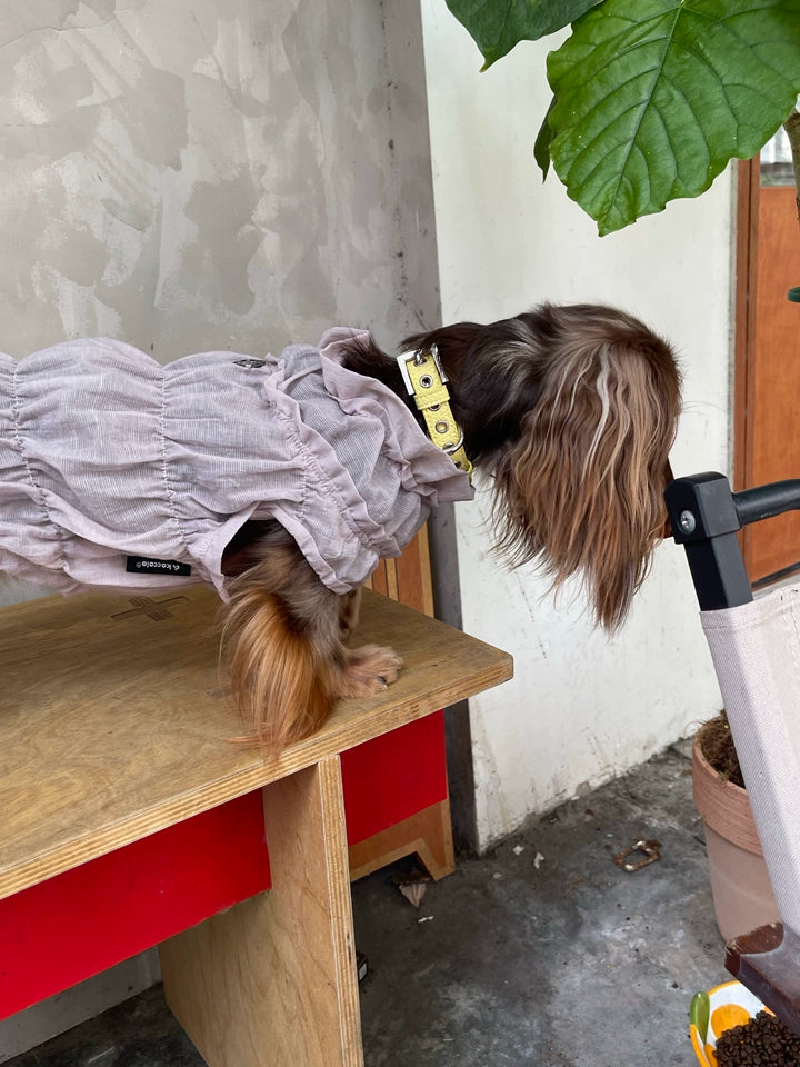 Ruffle Dog Vest – Lavender Mousse, Beige or Purple
