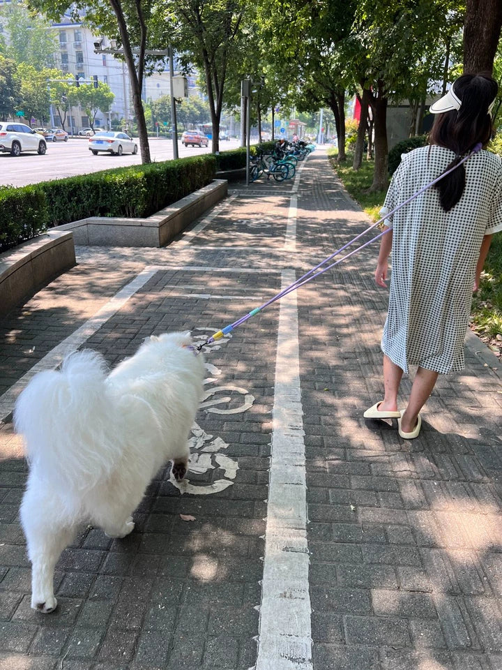 Double Dog Lead for Two Dogs