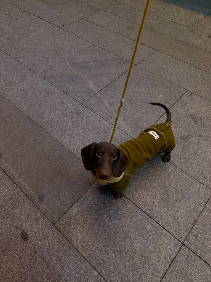 Ginger Chestnut Four-Leg Dog Hoodie – Brown and Cream