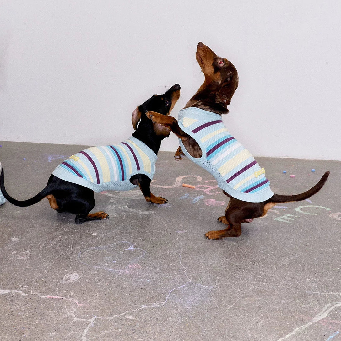 Malibu Sunset Stripe Vest gilet for dogs