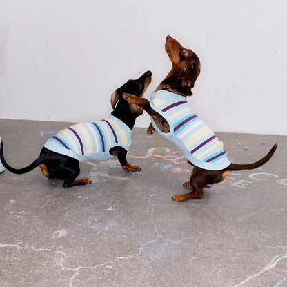 Malibu Sunset Stripe Vest gilet for dogs
