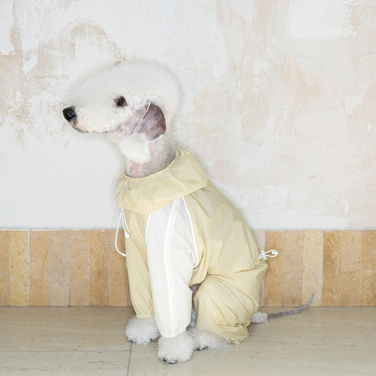 Lightweight Four-Leg Dog Rain Suit – Blue or Yellow