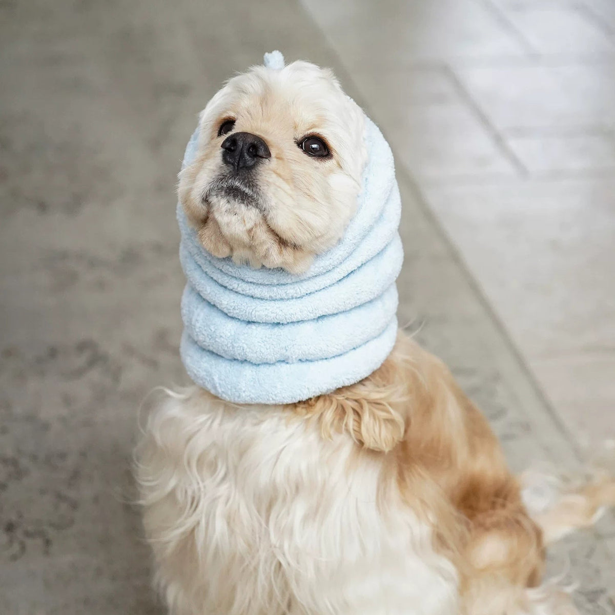 Plush Dog Hood with Decorative Ears – Blue, Pink or Bronze