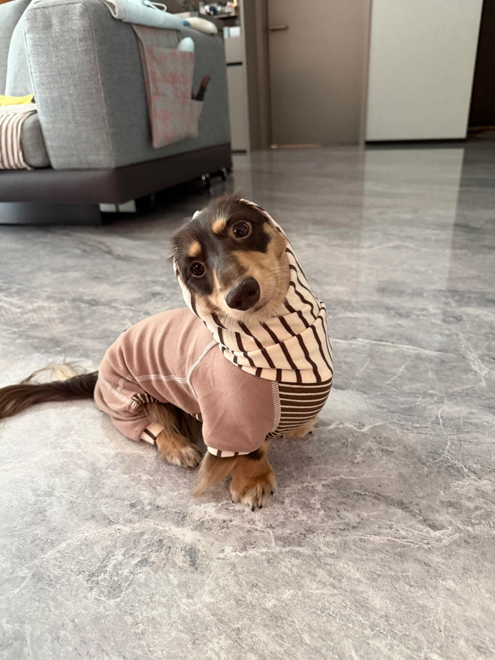 Caramel Stripe Four-Leg Dog Hoodie – Brown