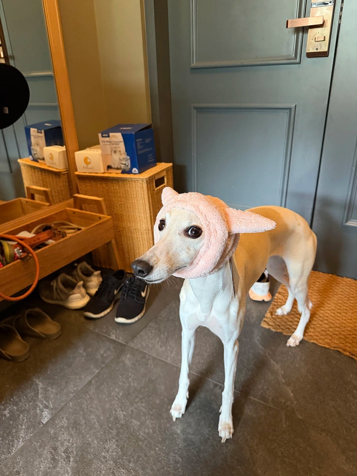 Plush Dog Hood with Decorative Ears – Blue, Pink or Bronze