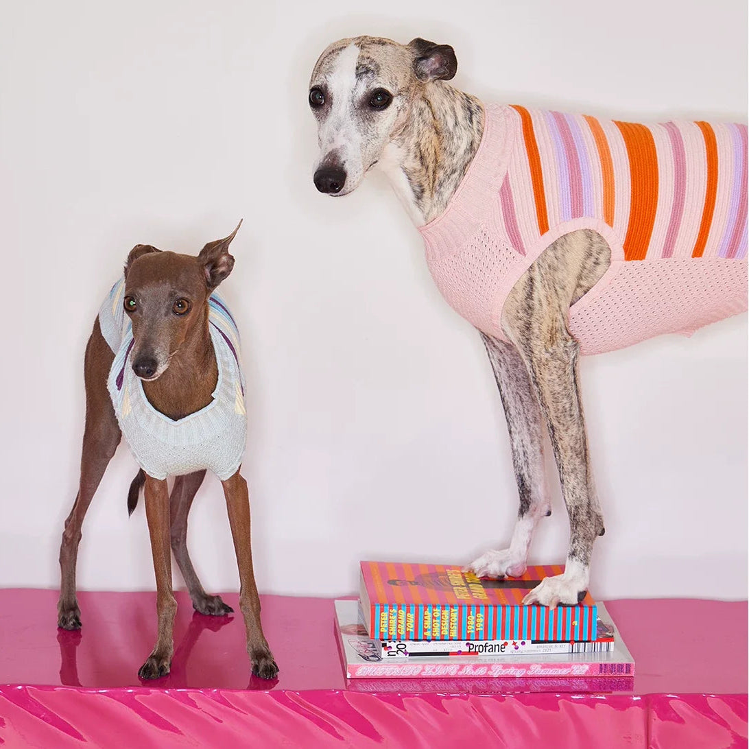 Malibu Sunset Stripe Vest in pink — gilet for dogs