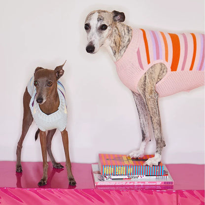 Malibu Sunset Stripe Vest in pink — gilet for dogs