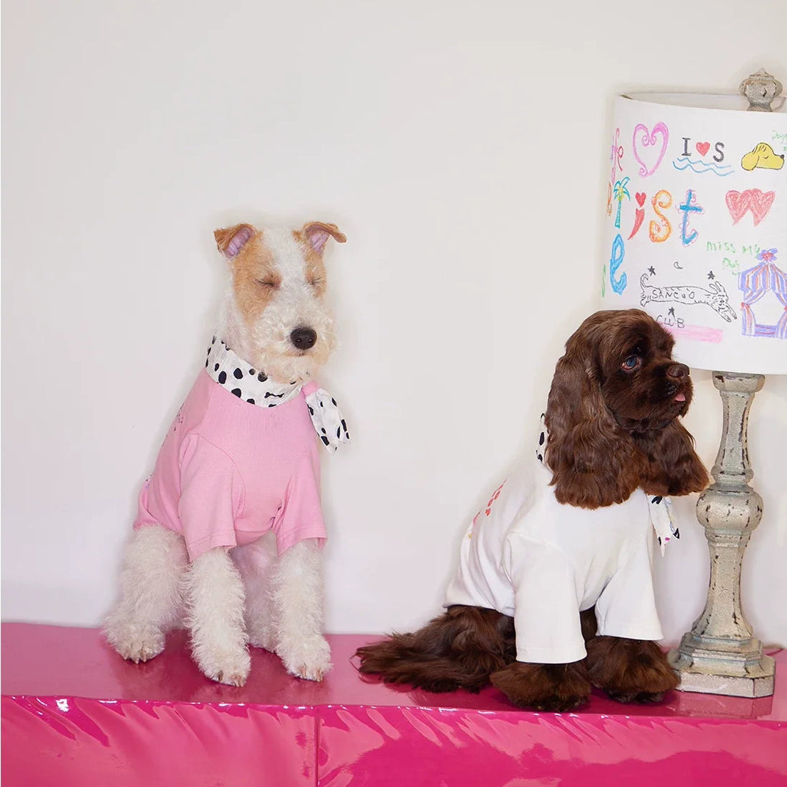 Doodle Scarf Bow-Tie Tee t-shirt for dogs