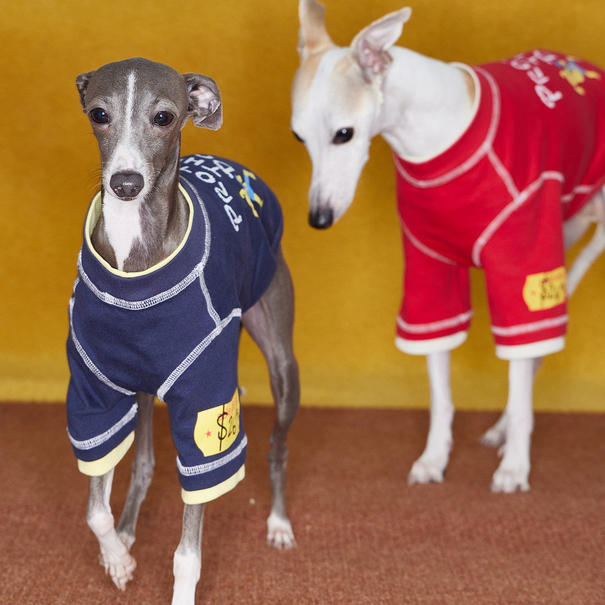 Boxing Embroidered Tee for Dogs