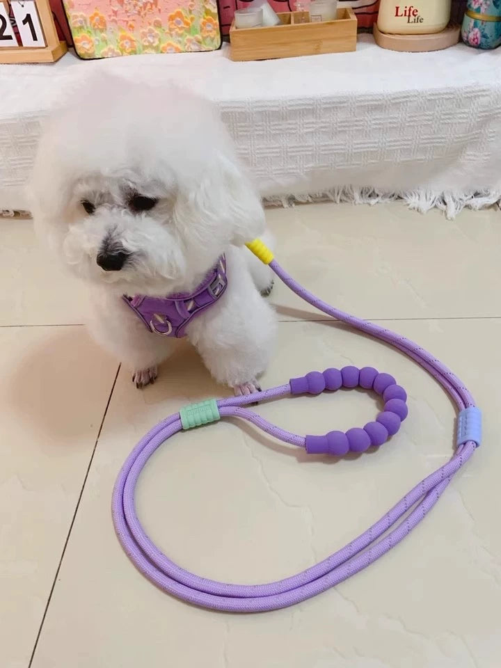 Double Dog Lead for Two Dogs