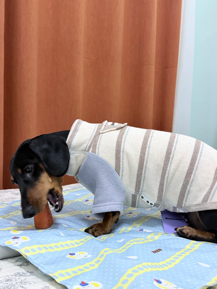 Honey Stripe Dog Jumper with Blue Sleeves – Beige