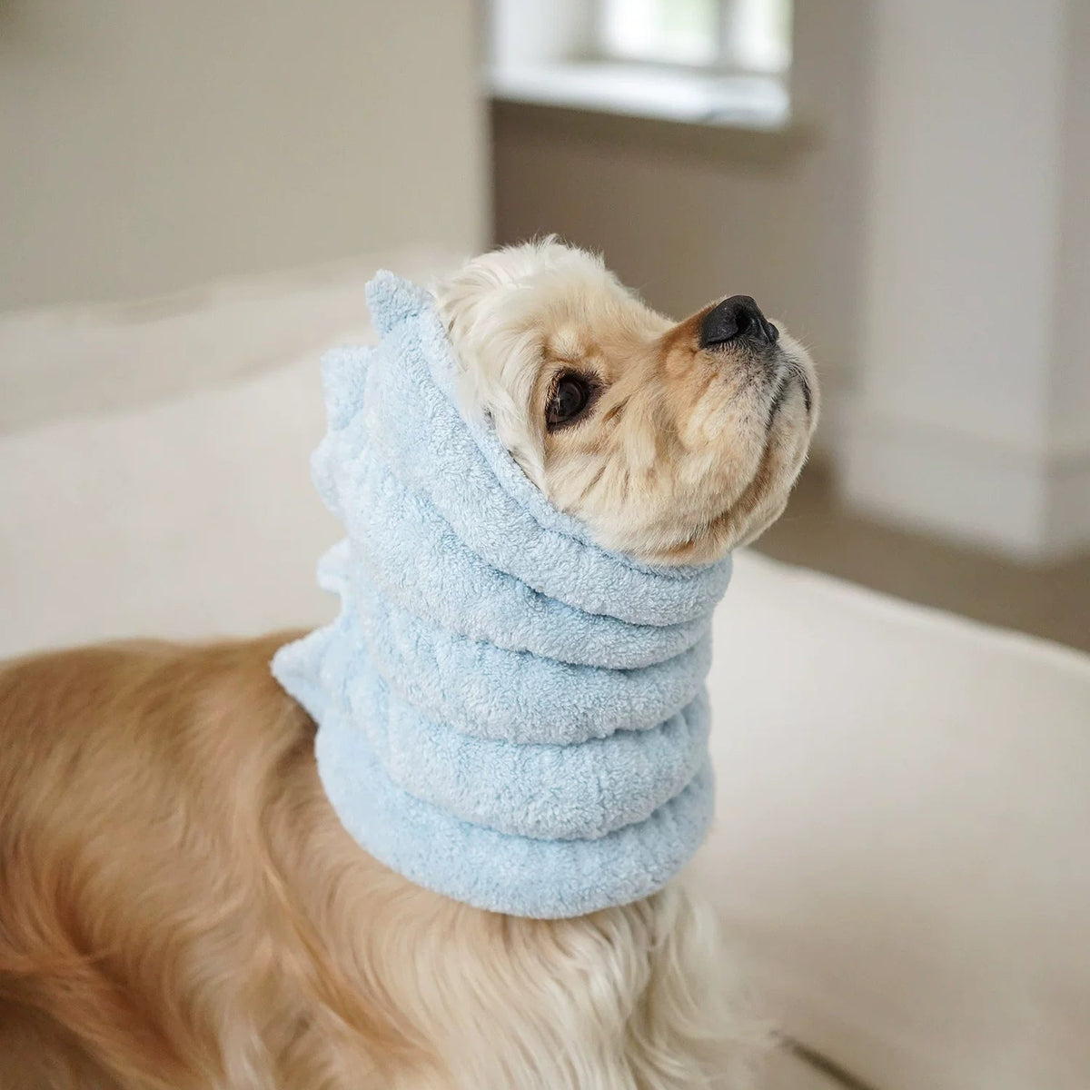 Plush Dog Hood with Decorative Ears – Blue, Pink or Bronze