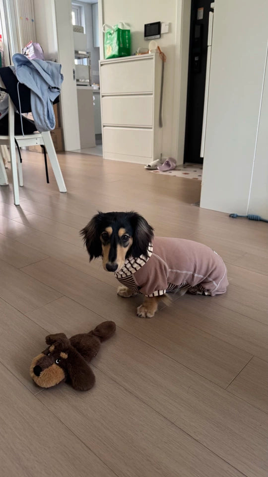 Caramel Stripe Four-Leg Dog Hoodie – Brown
