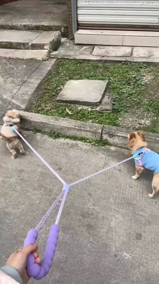 Double Dog Lead for Two Dogs