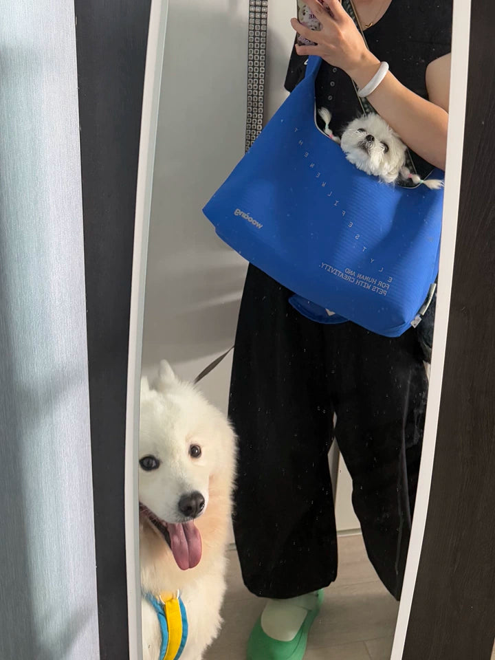 Waterproof Pet Crossbody Carrier Bag – Wide Hard-Base Dog and Cat Carrier, Small up to 4 kg or Large up to 10 kg
