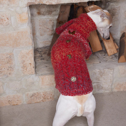 All I Want Is This Christmas Pup Sweater jumper for dogs