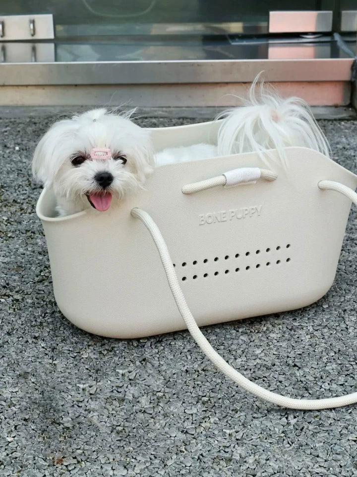 Breathable Pet Carrier Bag – Handheld Dog and Cat Tote with Air Holes for Small Dogs up to 4 kg and Cats up to 6 kg
