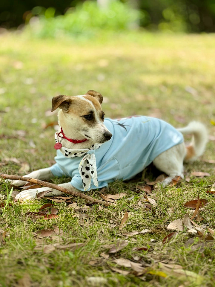 Doodle Print Dog T-Shirt – Blue, Pink or White