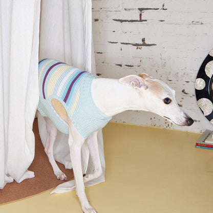 Striped Knitted Dog Vest – Malibu Sunset, Pink or Blue