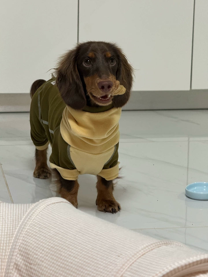 Ginger Chestnut Four-Leg Dog Hoodie – Brown and Cream