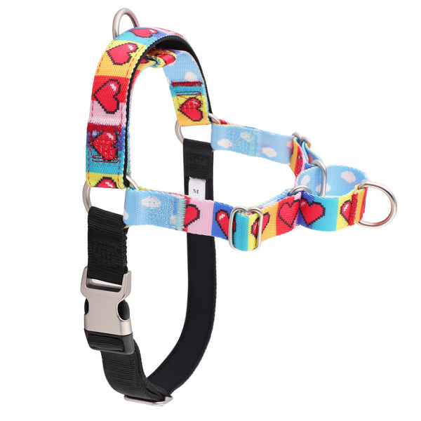 Printed Nylon Dog Harness - Front and Back D-Rings, Padded Belly Strap, Sizes S to L
