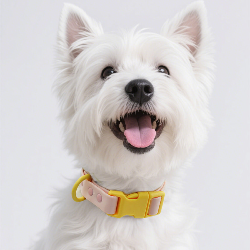 Two-Tone PVC Dog Collar, Adjustable Buckle, Small to Large