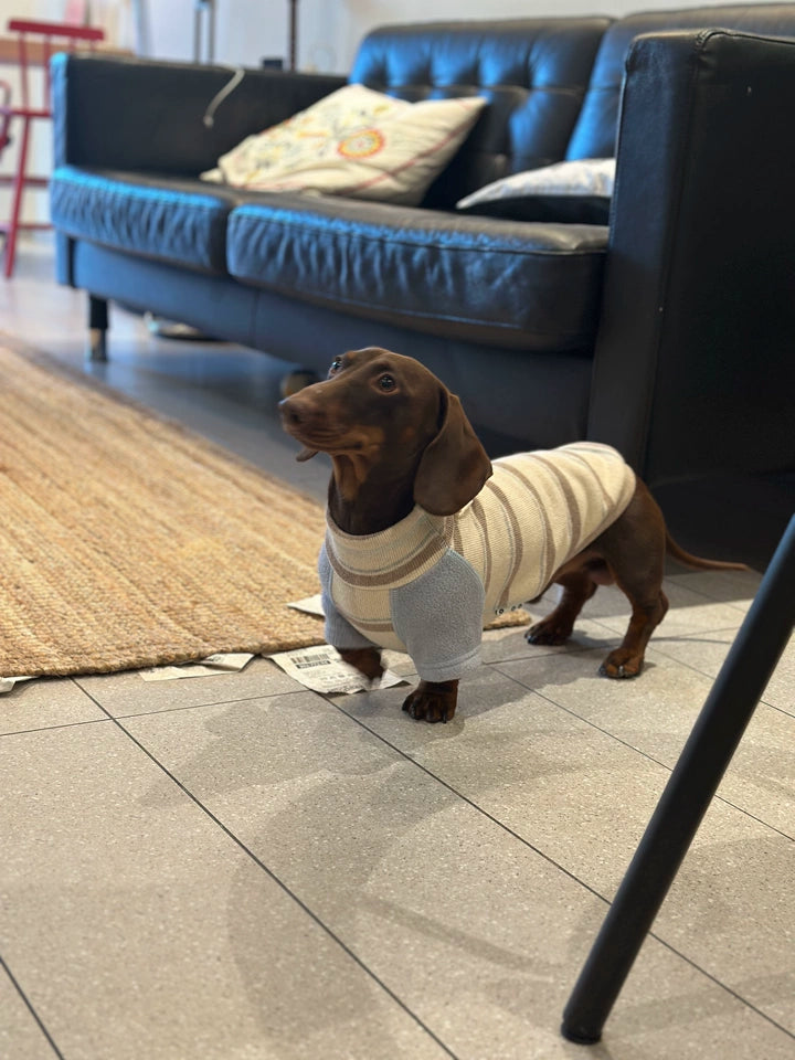 Honey Stripe Dog Jumper with Blue Sleeves – Beige