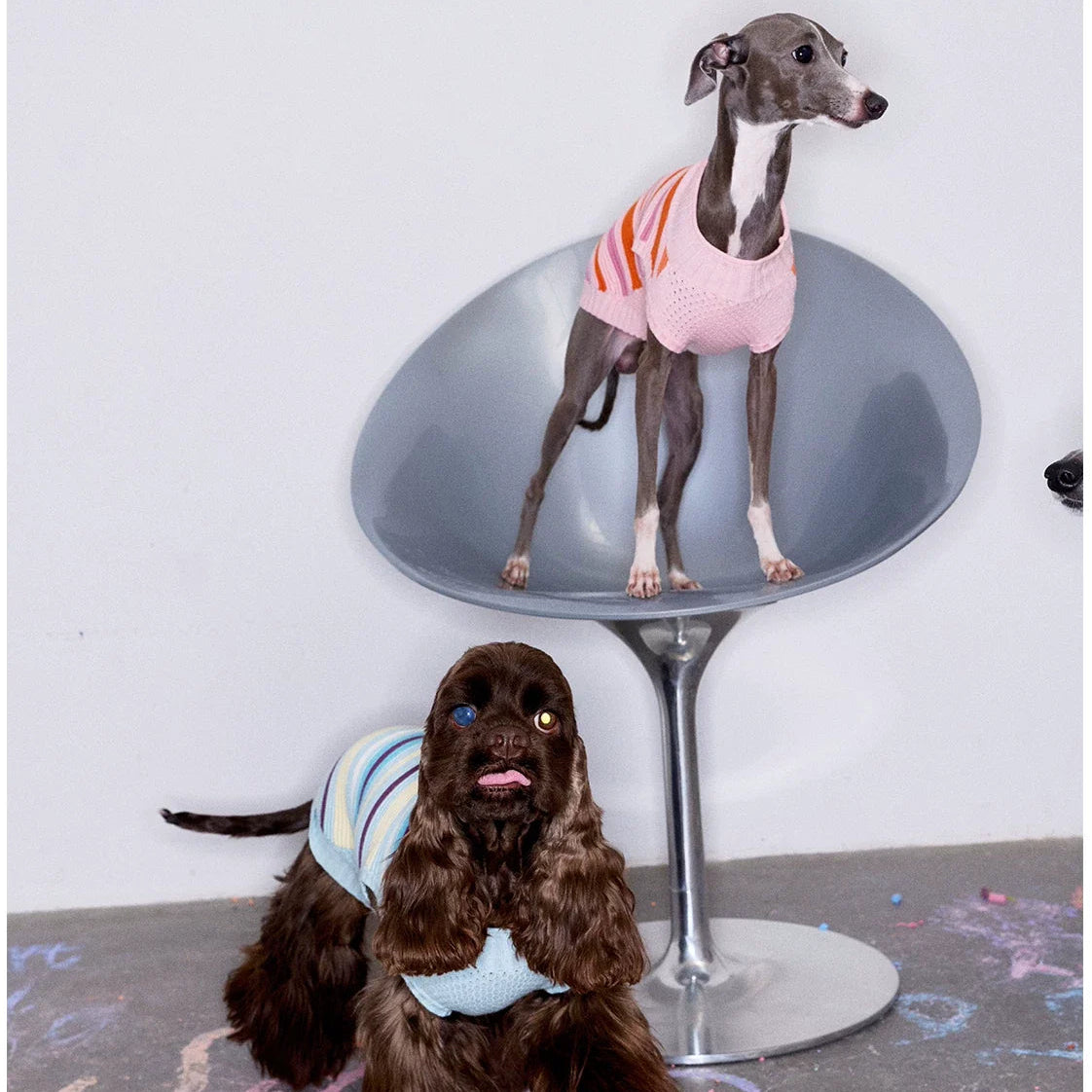 Malibu Sunset Stripe Vest gilet for dogs