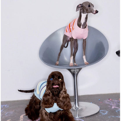 Malibu Sunset Stripe Vest gilet for dogs