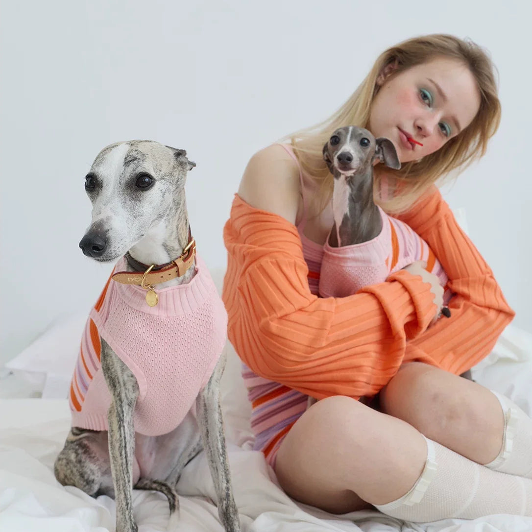 Malibu Sunset Stripe Vest gilet for dogs