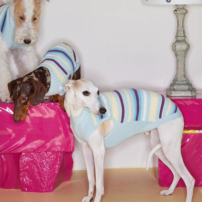 Malibu Sunset Stripe Vest gilet for dogs