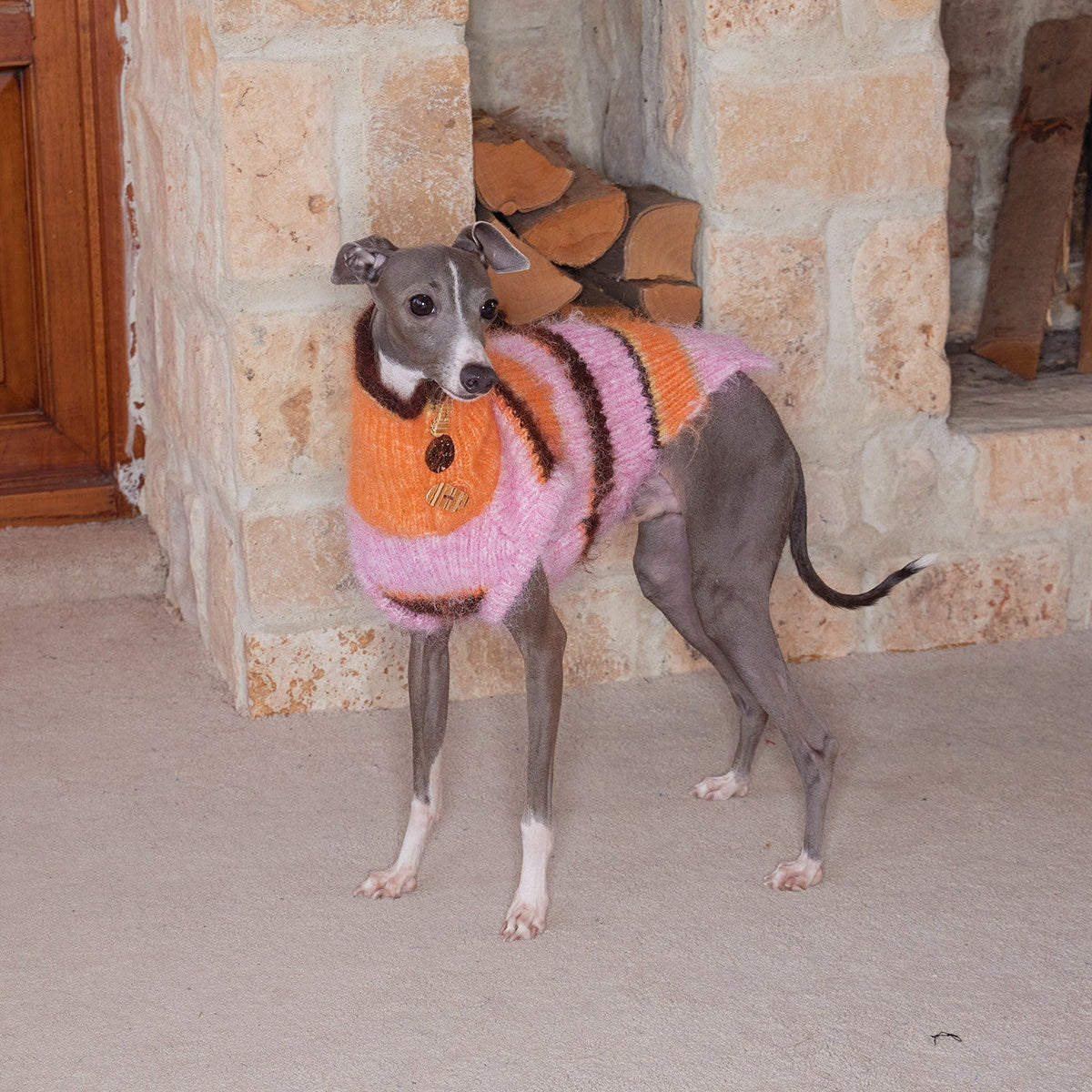 Christmas is a Rainbow Sweater for Dogs