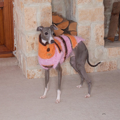 Christmas is a Rainbow Sweater for Dogs