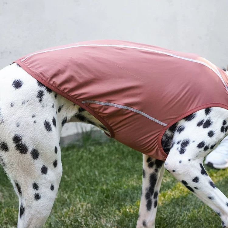 Summit Breeze Dog Top – Pink or Turquoise